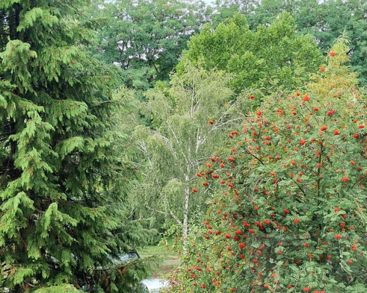 Mieszkanie Sprzedaż Gorzów Wielkopolski os. Piaski